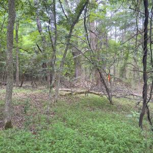 Photo #40 of Off Mt Pleasant Church Road, Manson, NC 12.6 acres
