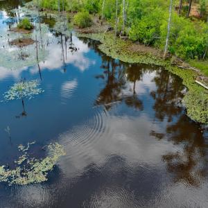 Photo #53 of Off of Woodwind Dr, Vass, NC 134.5 acres
