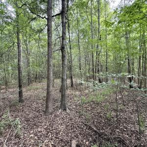 Photo #10 of 02 Titan Roberts Rd, Erwin, NC 50.0 acres