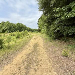 Photo #11 of 02 Titan Roberts Rd, Erwin, NC 50.0 acres