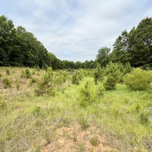 Photo #12 of 02 Titan Roberts Rd, Erwin, NC 50.0 acres