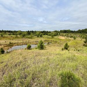 Photo #13 of 02 Titan Roberts Rd, Erwin, NC 50.0 acres