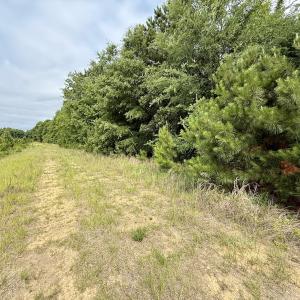 Photo #14 of 02 Titan Roberts Rd, Erwin, NC 50.0 acres