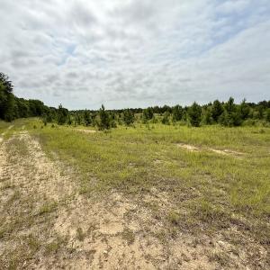 Photo #15 of 02 Titan Roberts Rd, Erwin, NC 50.0 acres