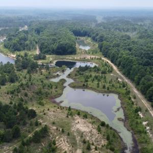 Photo #16 of 02 Titan Roberts Rd, Erwin, NC 50.0 acres