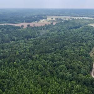 Photo #19 of 02 Titan Roberts Rd, Erwin, NC 50.0 acres