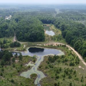 Photo #2 of 02 Titan Roberts Rd, Erwin, NC 50.0 acres