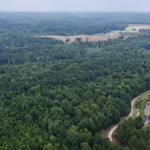 Photo #20 of 02 Titan Roberts Rd, Erwin, NC 50.0 acres