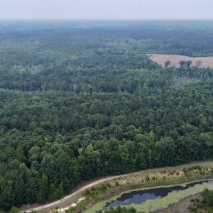 Photo #21 of 02 Titan Roberts Rd, Erwin, NC 50.0 acres