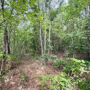 Photo #23 of 02 Titan Roberts Rd, Erwin, NC 50.0 acres
