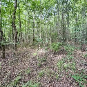 Photo #24 of 02 Titan Roberts Rd, Erwin, NC 50.0 acres