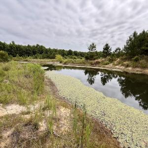 Photo #25 of 02 Titan Roberts Rd, Erwin, NC 50.0 acres