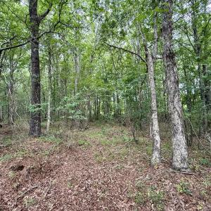 Photo #26 of 02 Titan Roberts Rd, Erwin, NC 50.0 acres