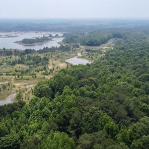 Photo #29 of 02 Titan Roberts Rd, Erwin, NC 50.0 acres