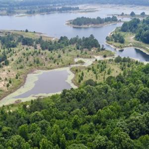 Photo #3 of 02 Titan Roberts Rd, Erwin, NC 50.0 acres