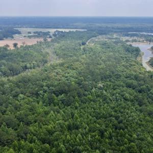 Photo #30 of 02 Titan Roberts Rd, Erwin, NC 50.0 acres
