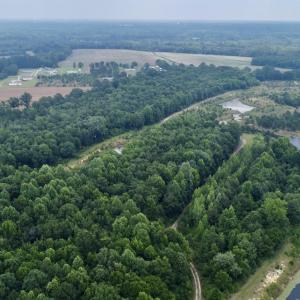 Photo #32 of 02 Titan Roberts Rd, Erwin, NC 50.0 acres