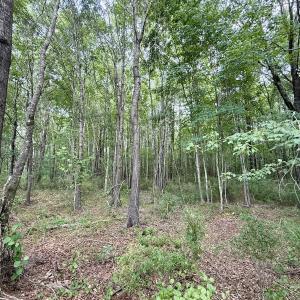 Photo #34 of 02 Titan Roberts Rd, Erwin, NC 50.0 acres