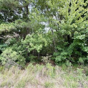 Photo #35 of 02 Titan Roberts Rd, Erwin, NC 50.0 acres