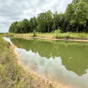 Photo #37 of 02 Titan Roberts Rd, Erwin, NC 50.0 acres