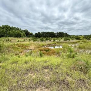 Photo #4 of 02 Titan Roberts Rd, Erwin, NC 50.0 acres