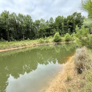 Photo #5 of 02 Titan Roberts Rd, Erwin, NC 50.0 acres