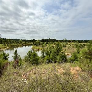 Photo #6 of 02 Titan Roberts Rd, Erwin, NC 50.0 acres