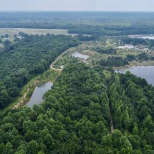 Photo #47 of 02 Titan Roberts Rd, Erwin, NC 50.0 acres