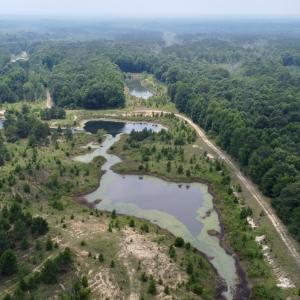 Photo #48 of 02 Titan Roberts Rd, Erwin, NC 50.0 acres