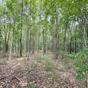 Photo #49 of 02 Titan Roberts Rd, Erwin, NC 50.0 acres