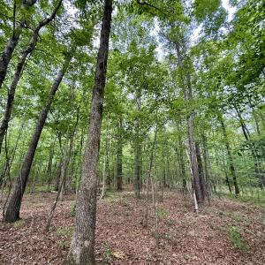 Photo #51 of 02 Titan Roberts Rd, Erwin, NC 50.0 acres