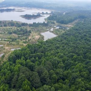 Photo #15 of 01 Titan Roberts Rd, Erwin, NC 45.0 acres