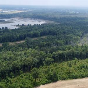 Photo #2 of 01 Titan Roberts Rd, Erwin, NC 45.0 acres