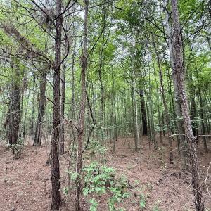 Photo #21 of 01 Titan Roberts Rd, Erwin, NC 45.0 acres