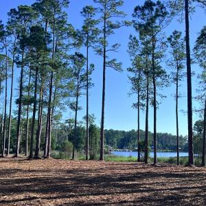 Photo #1 of Off Jarvis Landing Rd, Aurora, NC 14.1 acres