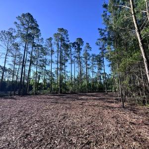 Photo #10 of Off Jarvis Landing Rd, Aurora, NC 14.1 acres
