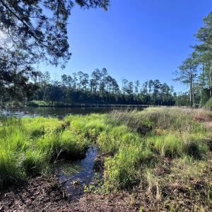 Photo #11 of Off Jarvis Landing Rd, Aurora, NC 14.1 acres