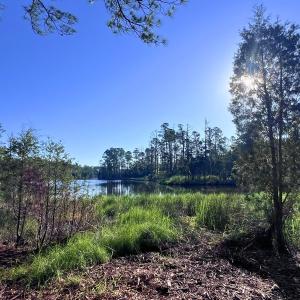 Photo #12 of Off Jarvis Landing Rd, Aurora, NC 14.1 acres