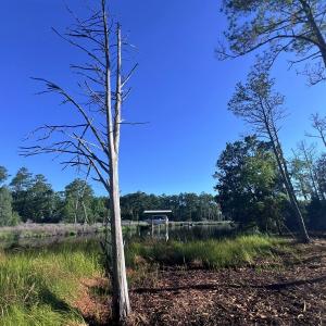 Photo #14 of Off Jarvis Landing Rd, Aurora, NC 14.1 acres