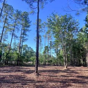 Photo #19 of Off Jarvis Landing Rd, Aurora, NC 14.1 acres