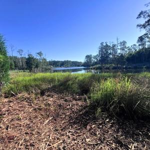 Photo #2 of Off Jarvis Landing Rd, Aurora, NC 14.1 acres