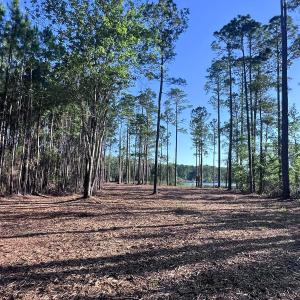 Photo #20 of Off Jarvis Landing Rd, Aurora, NC 14.1 acres