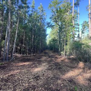 Photo #21 of Off Jarvis Landing Rd, Aurora, NC 14.1 acres