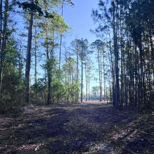 Photo #22 of Off Jarvis Landing Rd, Aurora, NC 14.1 acres