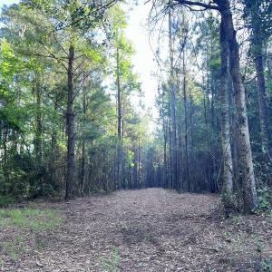 Photo #24 of Off Jarvis Landing Rd, Aurora, NC 14.1 acres