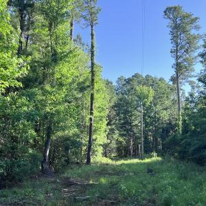 Photo #25 of Off Jarvis Landing Rd, Aurora, NC 14.1 acres