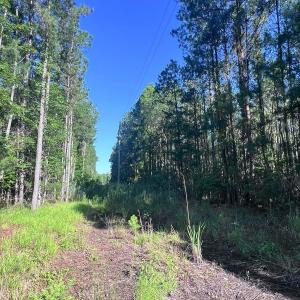 Photo #26 of Off Jarvis Landing Rd, Aurora, NC 14.1 acres