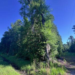 Photo #28 of Off Jarvis Landing Rd, Aurora, NC 14.1 acres
