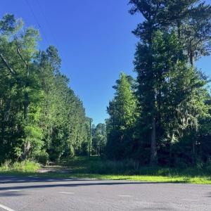 Photo #29 of Off Jarvis Landing Rd, Aurora, NC 14.1 acres