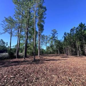 Photo #3 of Off Jarvis Landing Rd, Aurora, NC 14.1 acres